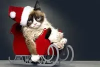 Grumpy Cat Christmas