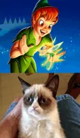 Grumpy Cat Does Not Believe