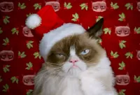 Grumpy cat Xmas