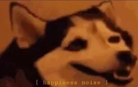 Happiness Noise