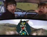 Harry Potter Tom cat meme