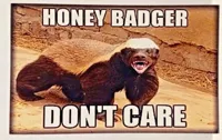 honey badger don't care