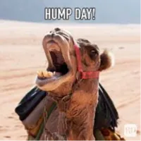 hump day