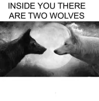 Inside you there are two wolves