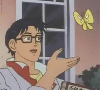 is this a butterfly