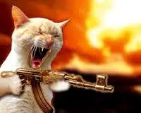 Kitty w/Guns