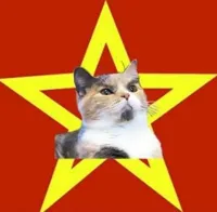 lenin cat