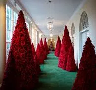 Melania's Christmas Trees