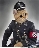 Nazi Cat