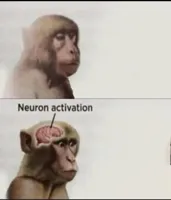 neuron activation