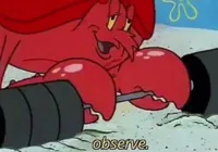 Observe spongebob