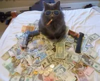 Pimp Cat Big Daddy Catnip