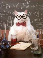 Professor Cat