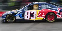 Race car doge