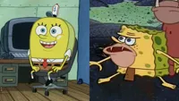 Roundbob and Spongegar