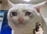 Sad cat with gun