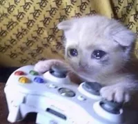 Sad Gamer Cat