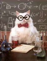 Science Cat Good Day