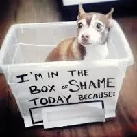 Shame Dog