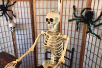 skeleton at desk