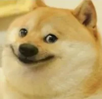 Smile Doge (Cropped)