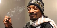 Snoop dog high