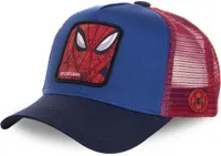 Spider-Man Hat