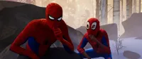 Spider man into the spiderverse meme