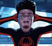 Spider-man spiderverse meme