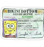 Spongebob Credit card