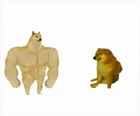 Strong dog vs weak dog