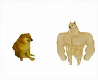 Strong dog vs weak dog (Flipped)