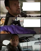 The Rock Driving Evil Cat