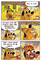 This is Fine Dog