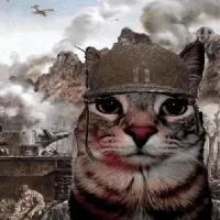 War Cat