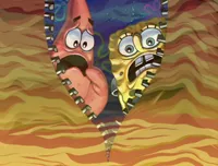 What did SpongeBob and Patrick see in the fly of despair