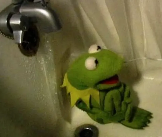 Kermit on Shower